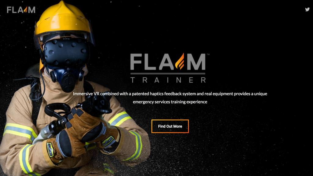 FLAIM Trainer